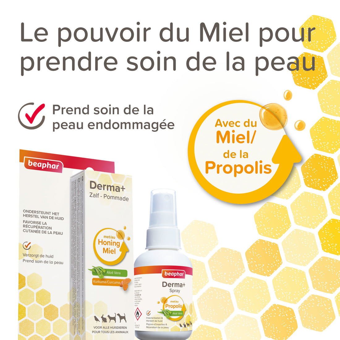 Pommade  pour plaies