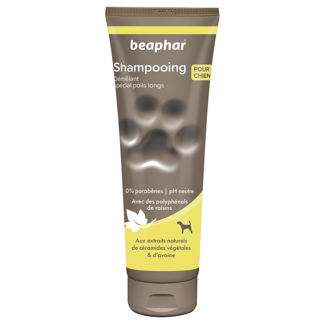 Shampooing Démêlant 2 en 1