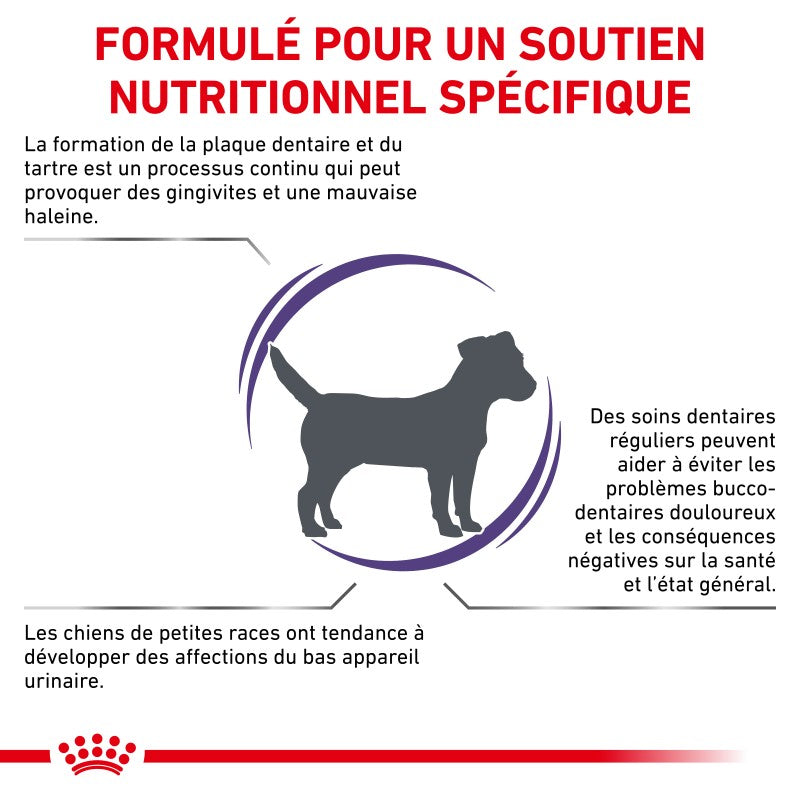Royal Canin Ehn Chien Small Dental