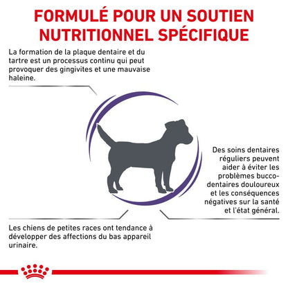 Royal Canin Ehn Chien Small Dental
