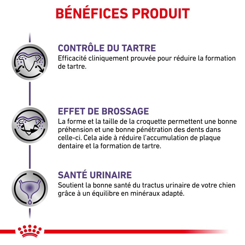 Royal Canin Ehn Chien Small Dental