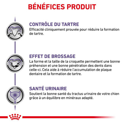 Royal Canin Ehn Chien Small Dental