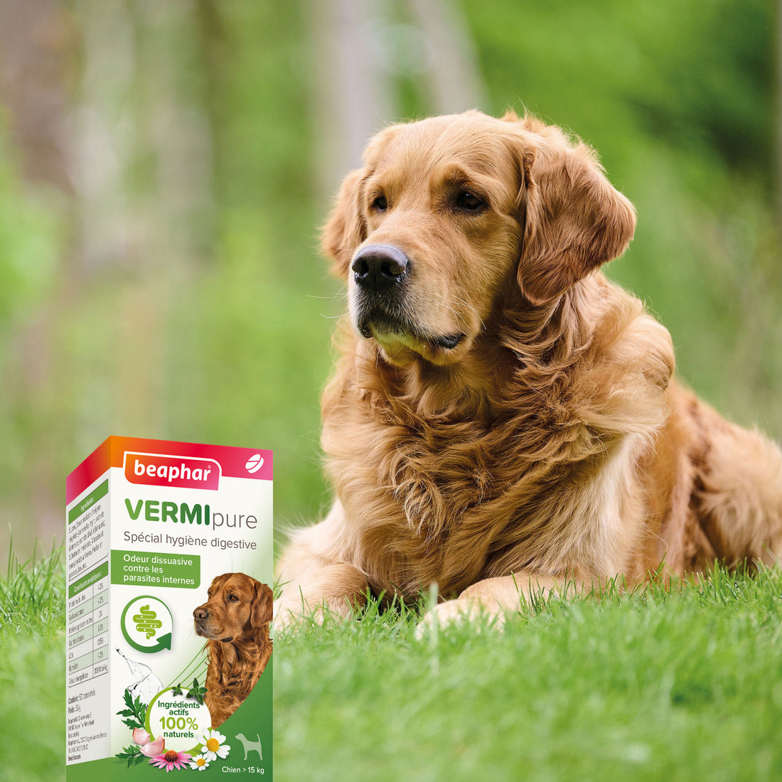 Vermipure comprimés Purge - Grand chien
