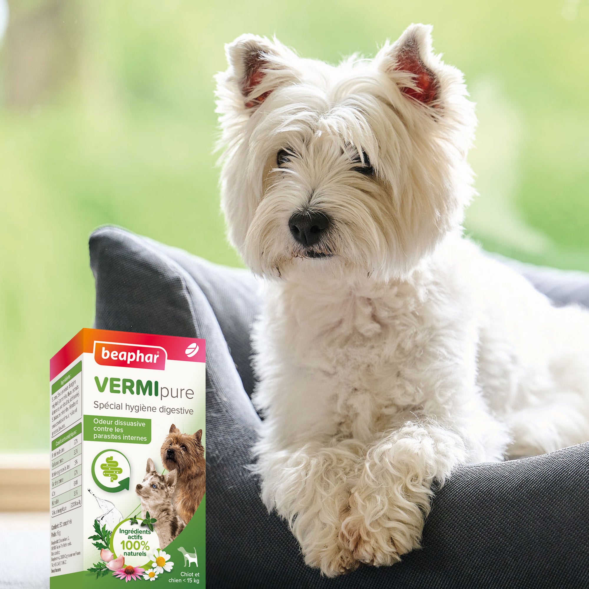 Vermipure comprimés Purge - Chiot &amp; petit chien