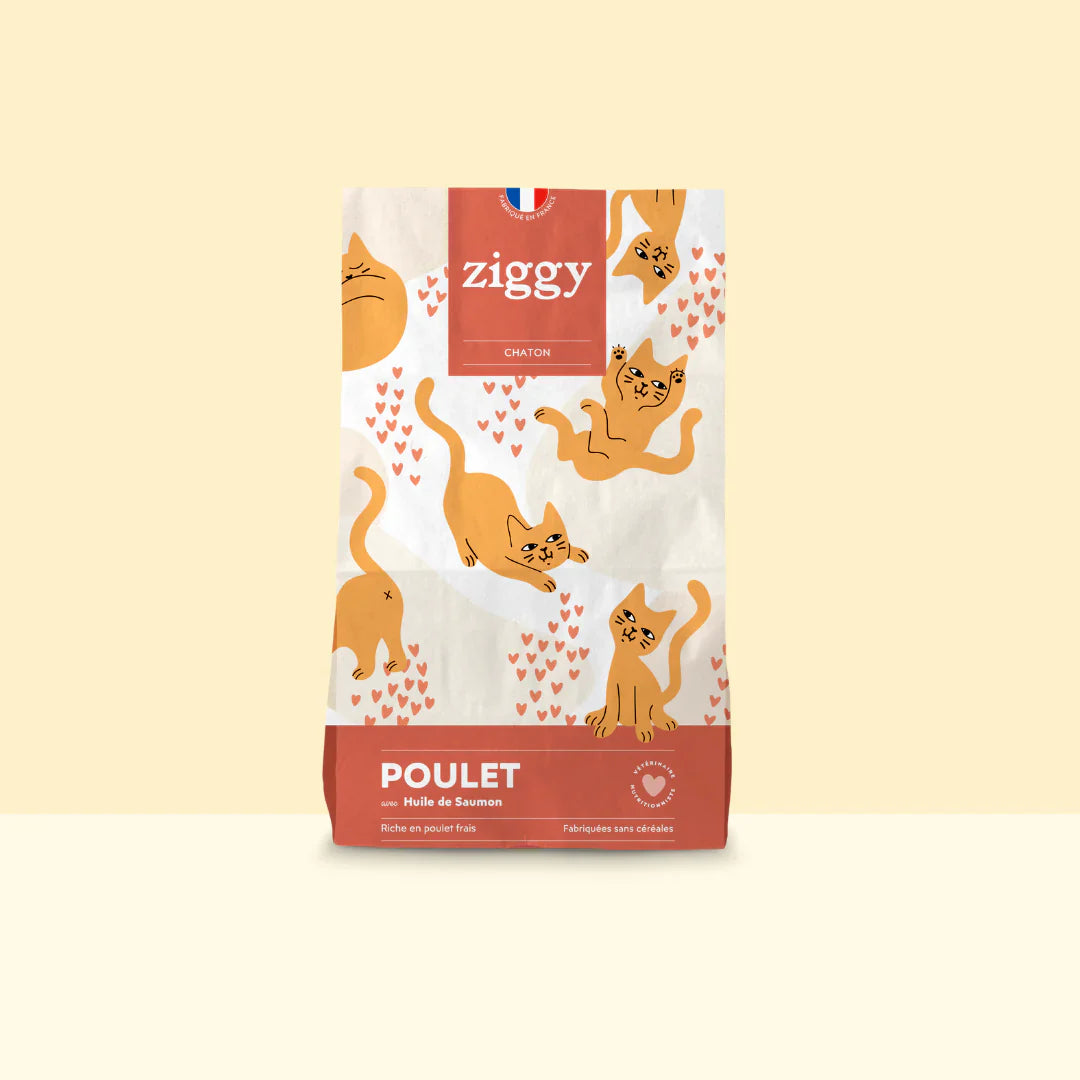 Ziggy Chaton - Poulet