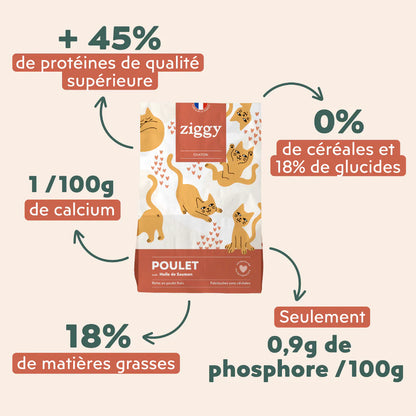 Ziggy Chaton - Poulet