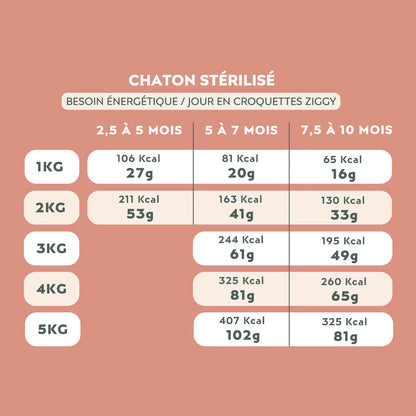 Ziggy Chaton - Poulet