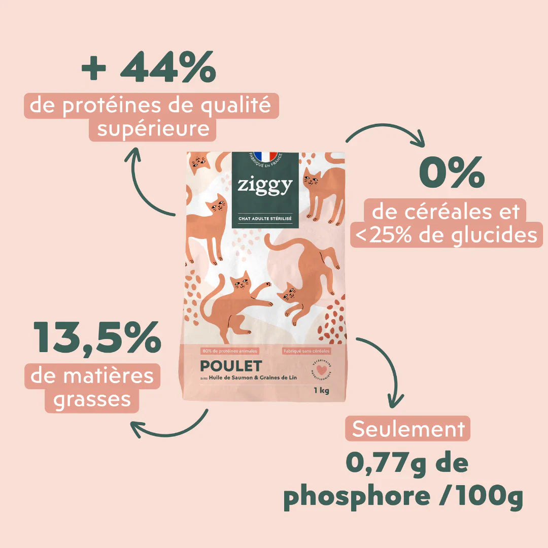 Ziggy Chat Adulte Stérilisé Poulet
