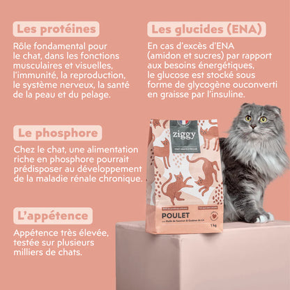 Ziggy Chat Adulte Stérilisé Poulet