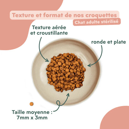 Ziggy Chat Adulte Stérilisé Poulet