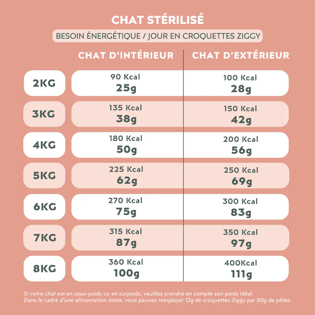 Ziggy Chat Adulte Stérilisé Poulet