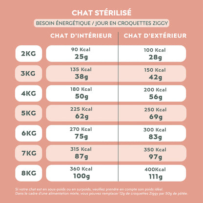 Ziggy Chat Adulte Stérilisé Poulet