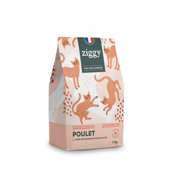 Ziggy Chat Adulte Stérilisé