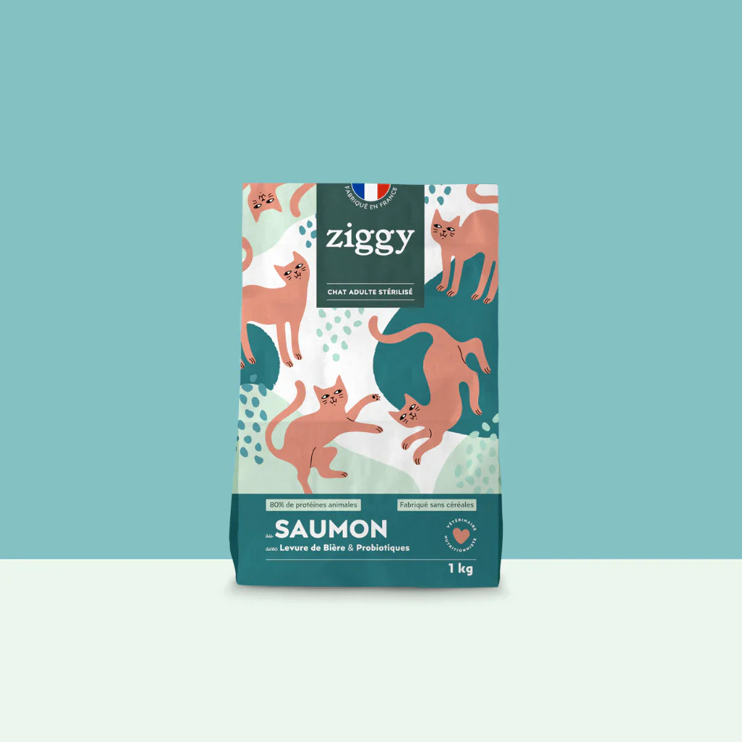 Ziggy Chat Adulte Stérilisé Saumon Croquettes