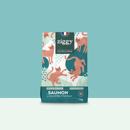Ziggy Chat Adulte Stérilisé Saumon Croquettes