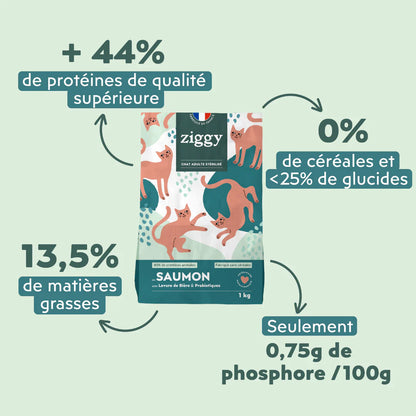 Ziggy Chat Adulte Stérilisé Saumon Croquettes