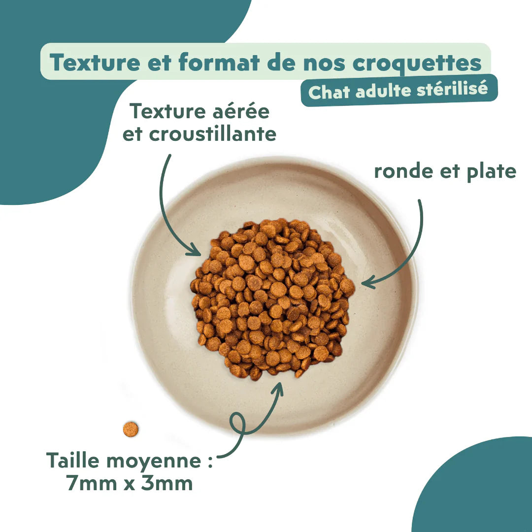 Ziggy Chat Adulte Stérilisé Saumon Croquettes