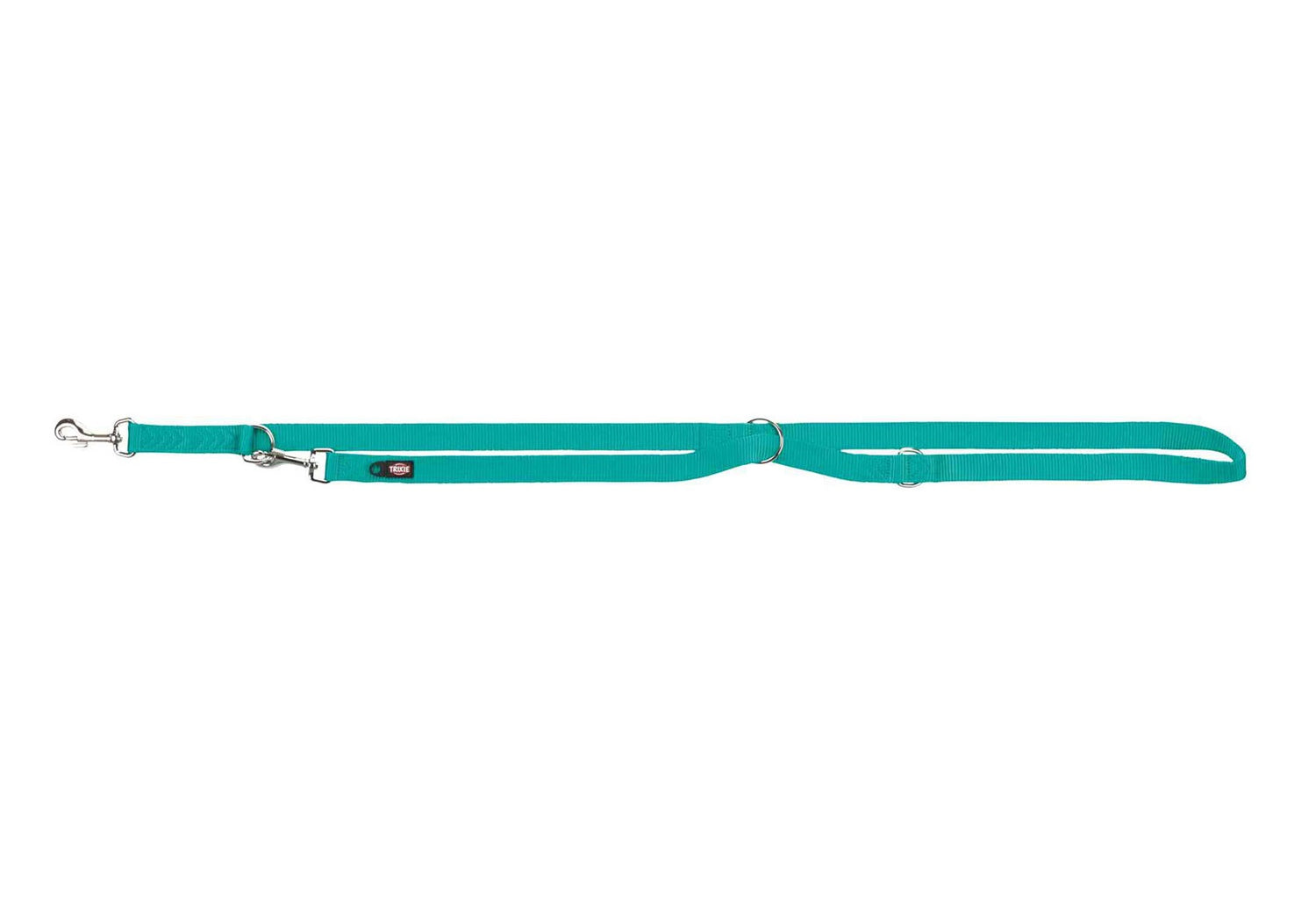 Laisse premium reglable pour chien