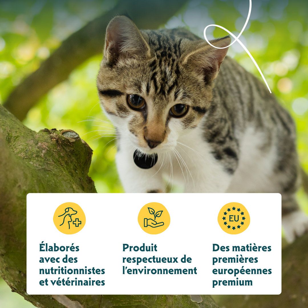 Yarrah croquettes bio sans céréales pour chat adulte