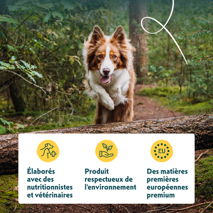 Yarrah croquettes bio chien