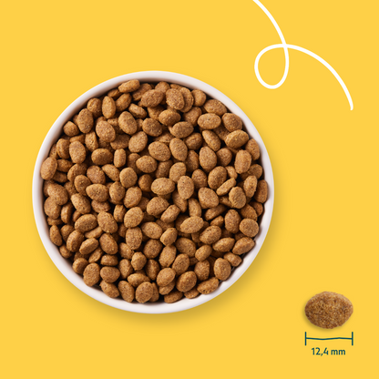 Yarrah croquettes bio pour chien senior