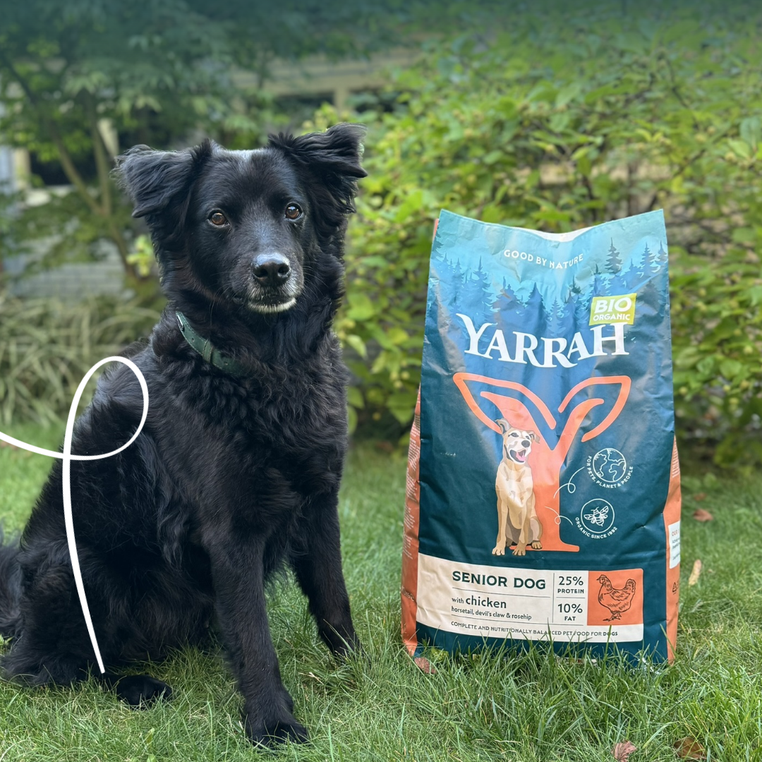 Yarrah croquettes bio pour chien senior