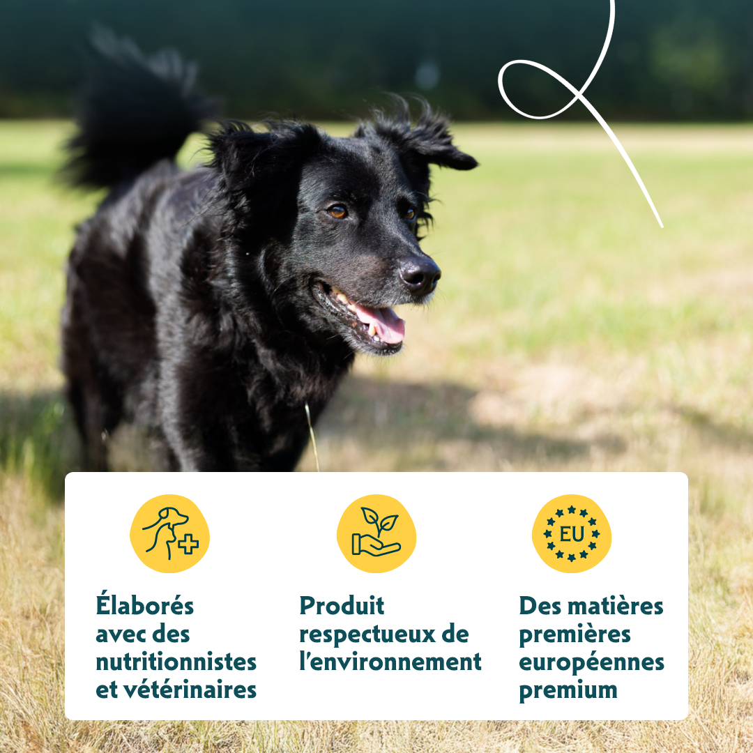 Yarrah croquettes bio pour chien senior