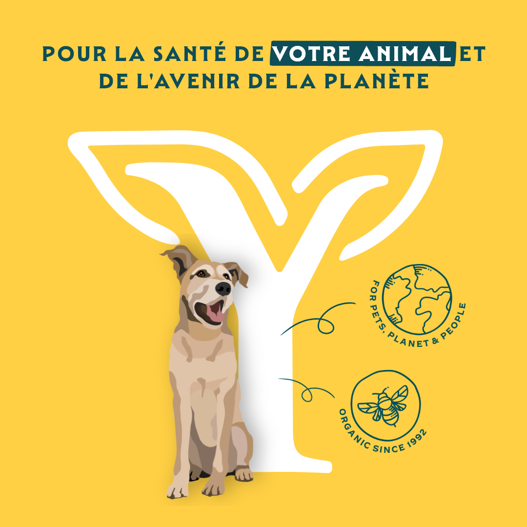 Yarrah croquettes bio pour chien senior