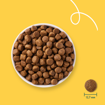 Yarrah croquettes bio sans céréales pour chien adulte