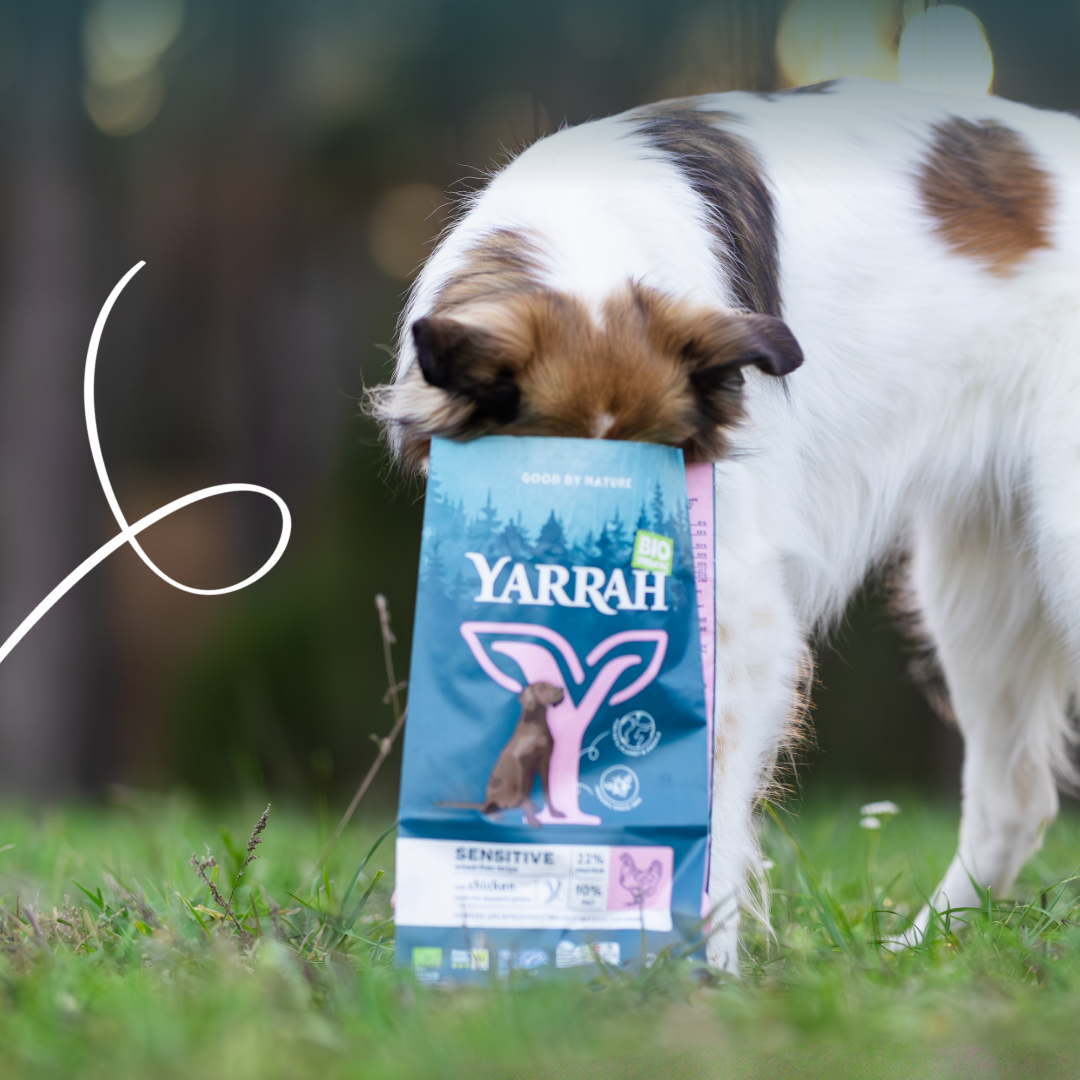 Yarrah croquettes bio pour chien sensible