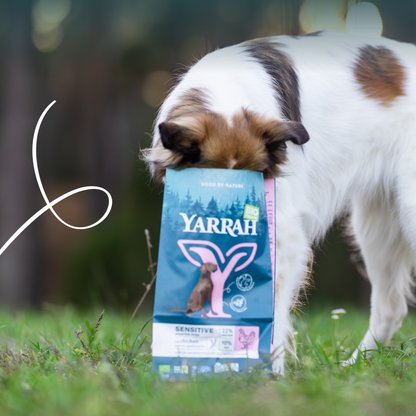 Yarrah croquettes bio pour chien sensible