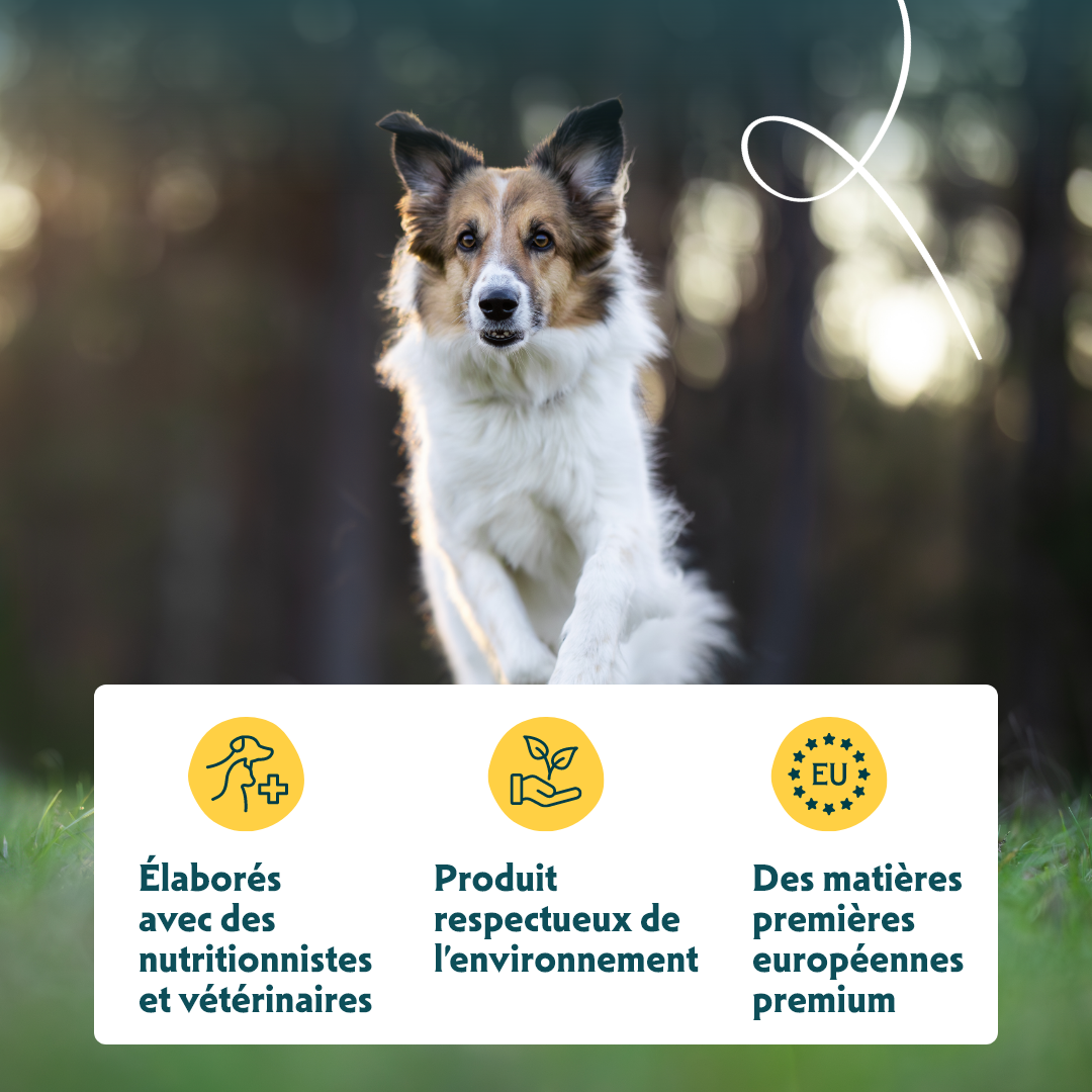 Yarrah croquettes bio pour chien sensible