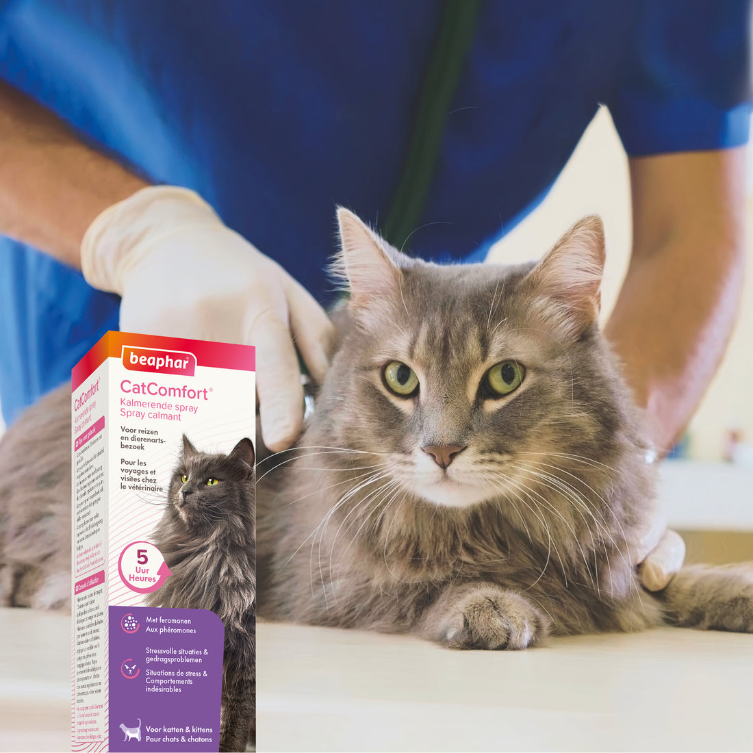 BEAPHAR SPRAY CALMANT CHAT 60ML