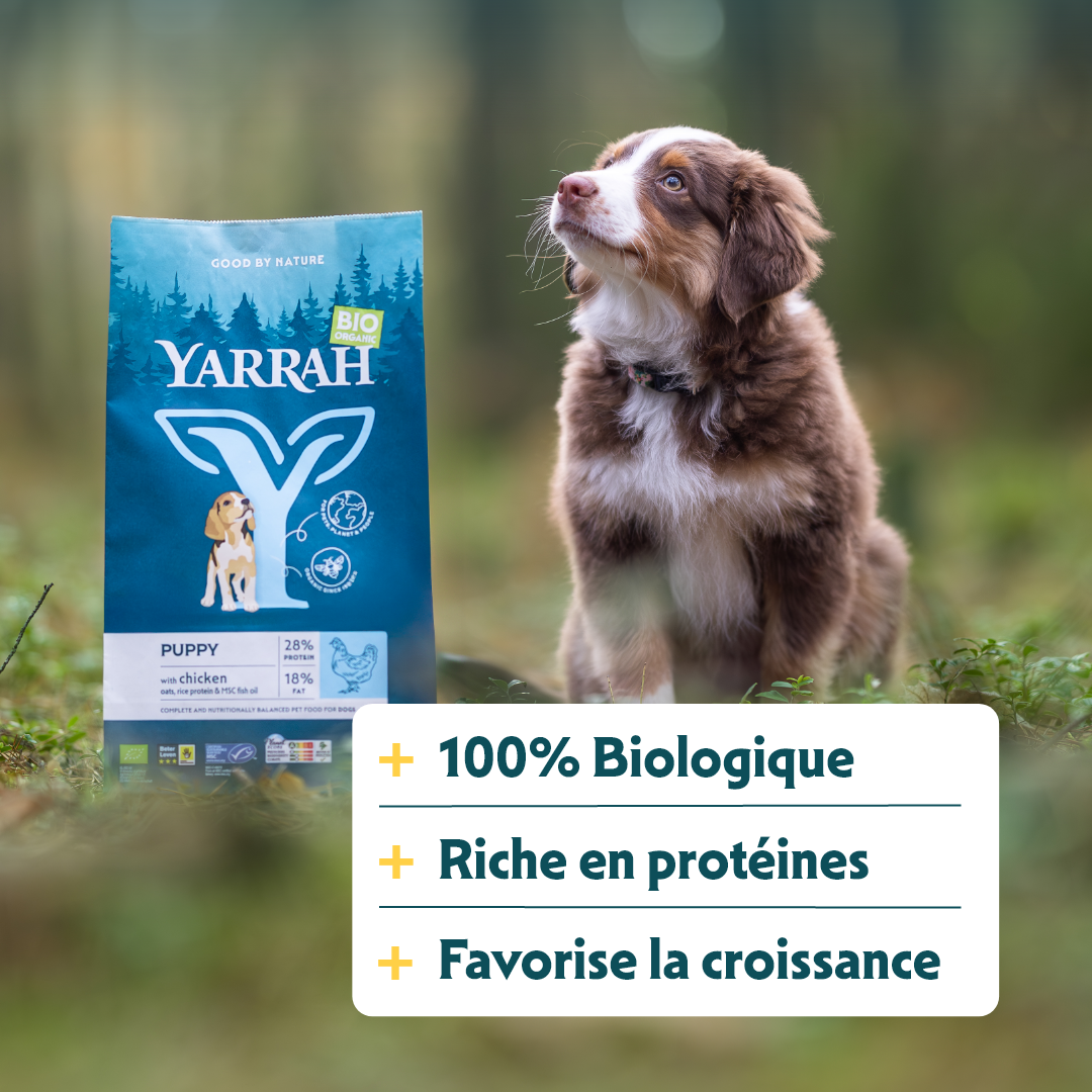 Yarrah croquettes bio pour chiot