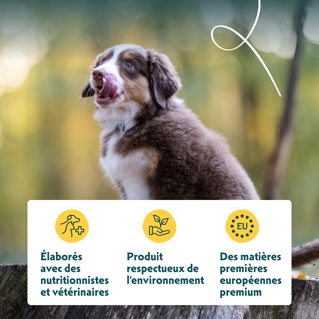 Yarrah croquettes bio pour chiot