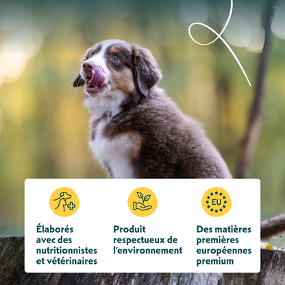 Yarrah croquettes bio pour chiot