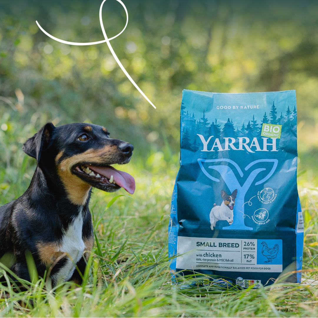 Yarrah croquettes bio pour chien de petite race