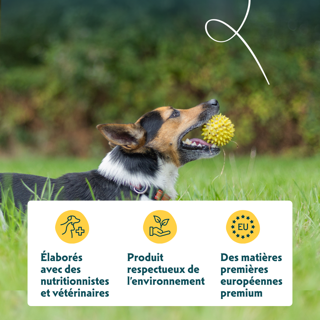 Yarrah croquettes bio pour chien de petite race