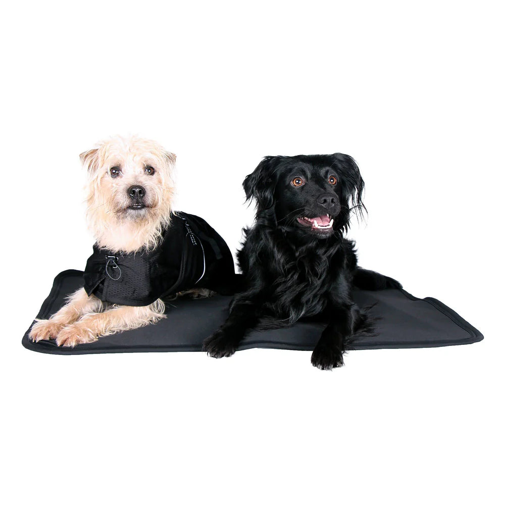 MATELAS DE CAGE BACK ON TRACK