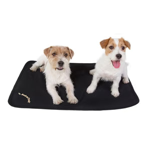 MATELAS DE CAGE BACK ON TRACK