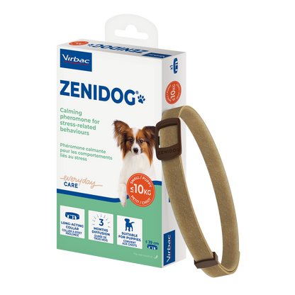 Zenidog collier pour chien