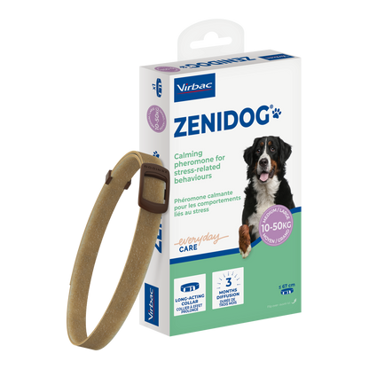 Zenidog collier pour chien
