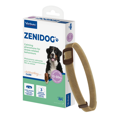 Zenidog collier pour chien