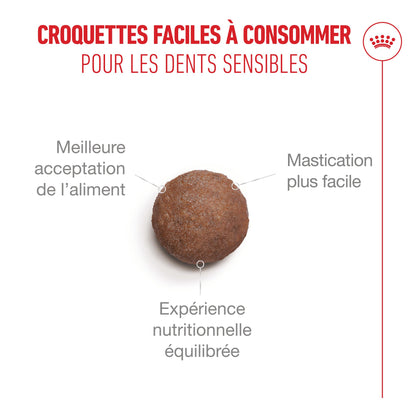 Royal Canin Ageing 11+ - Croquettes pour chat