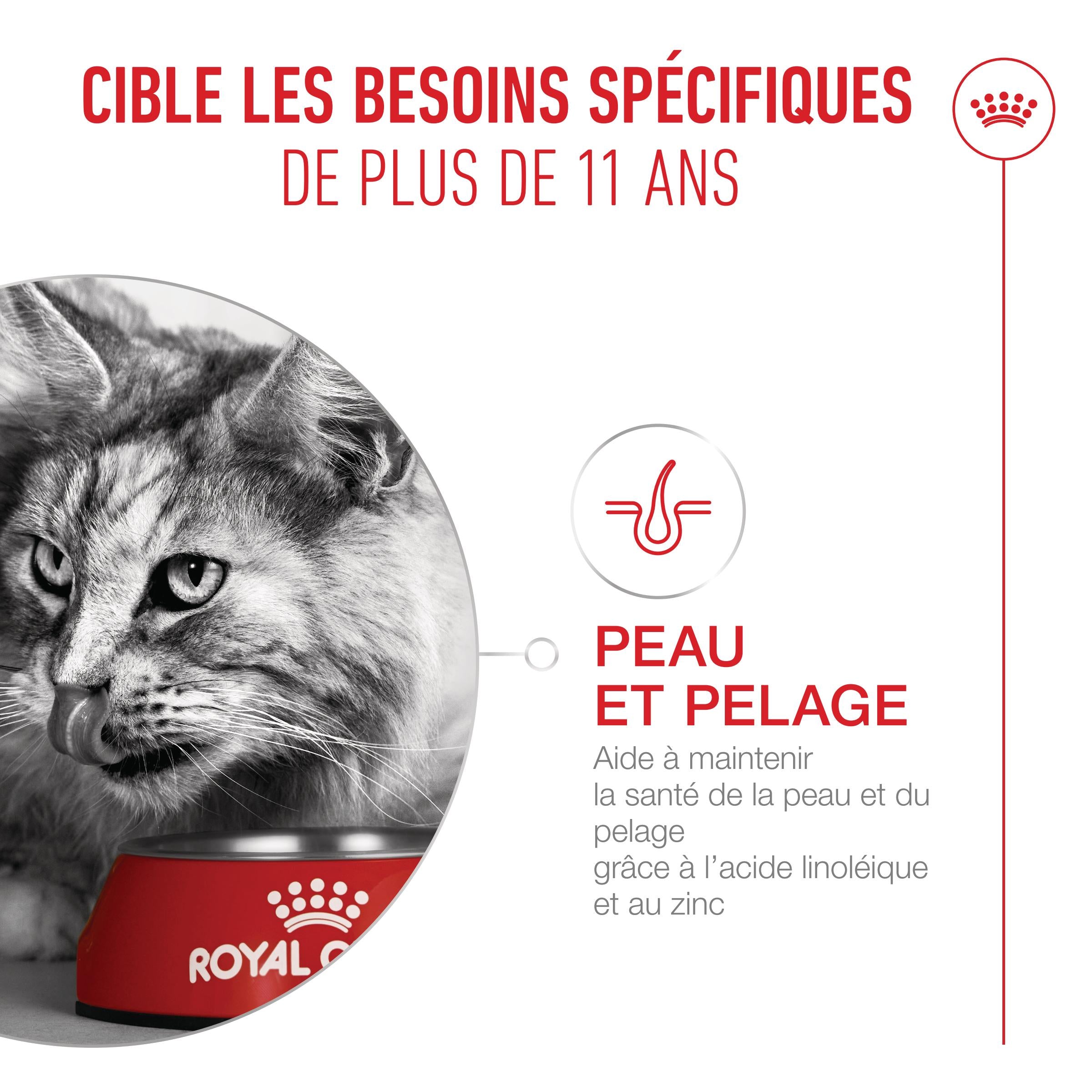 Royal Canin Ageing Sterilised 11+
