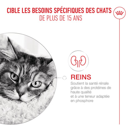 Royal Canin Ageing 15+ - Croquettes pour chat