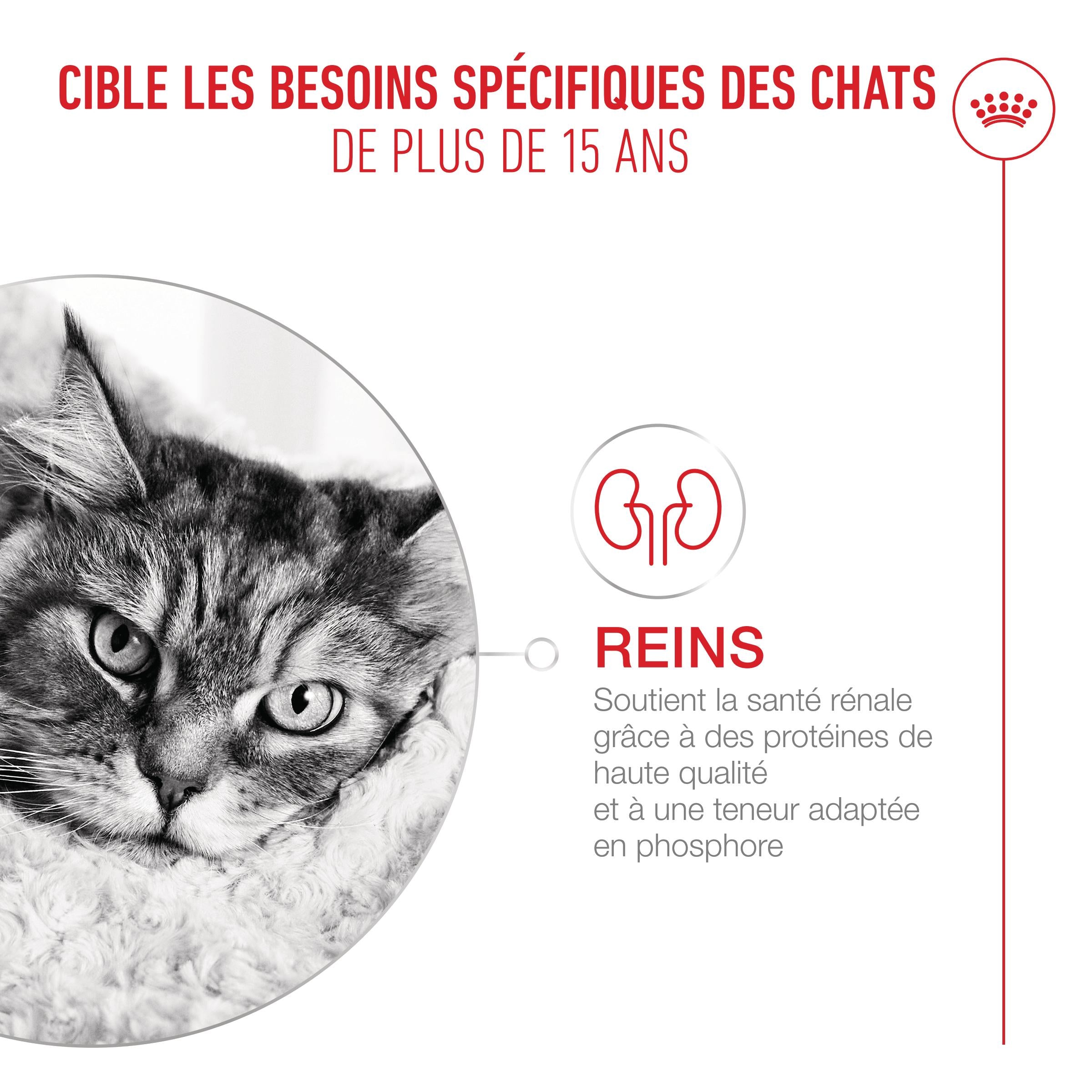 Royal Canin Ageing 15+ - Croquettes pour chat