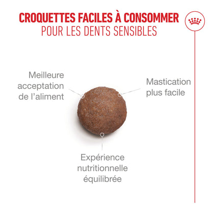 Royal Canin Ageing 15+ - Croquettes pour chat