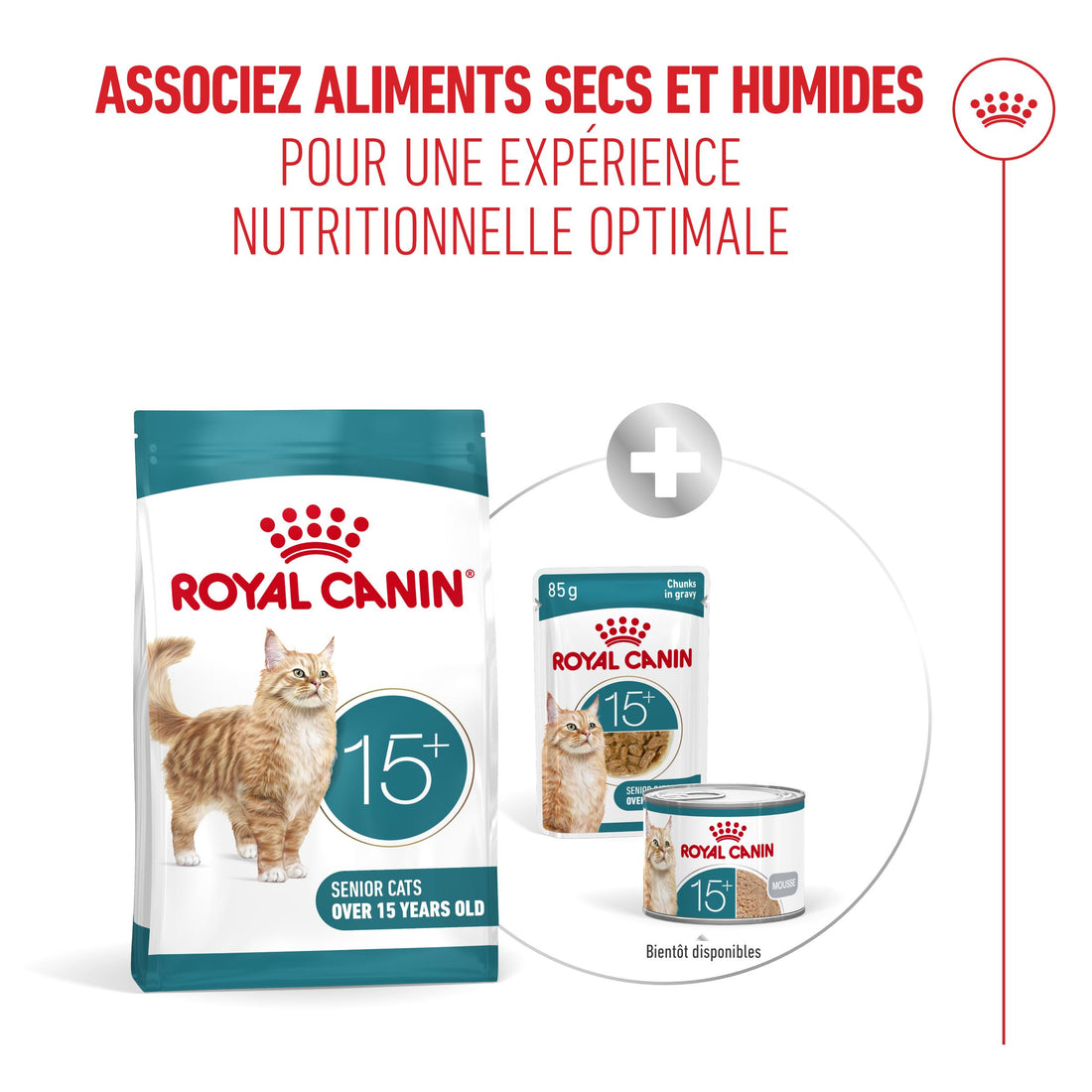 Royal Canin Ageing 15+ - Croquettes pour chat