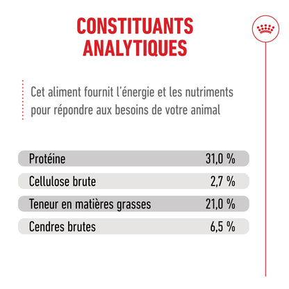 Royal Canin Ageing 15+ - Croquettes pour chat